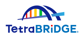 TetraBRiDGE