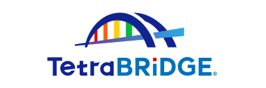 TetraBRiDGE